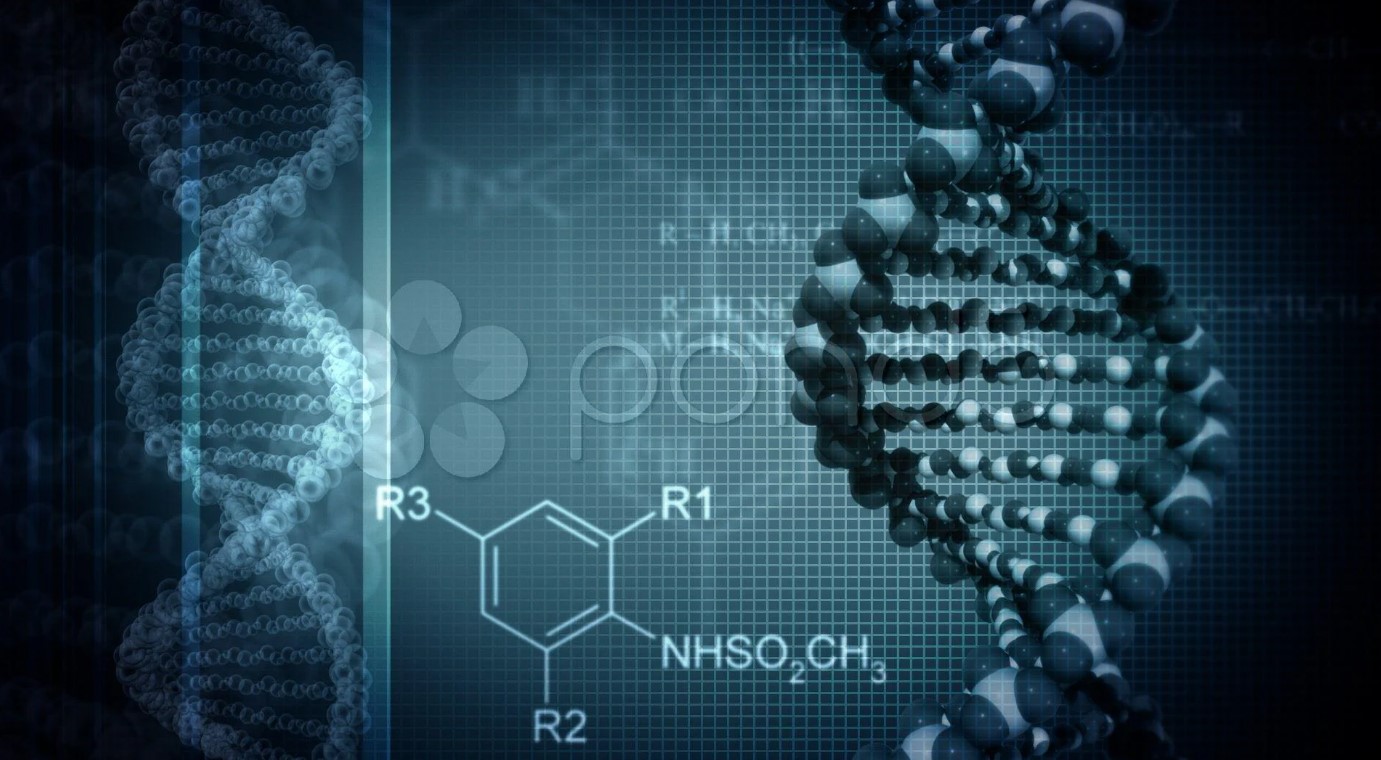msc biotechnology